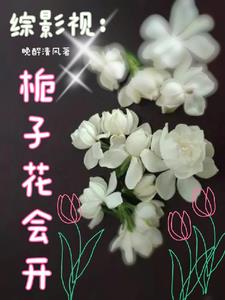 综影视含花非花雾非雾